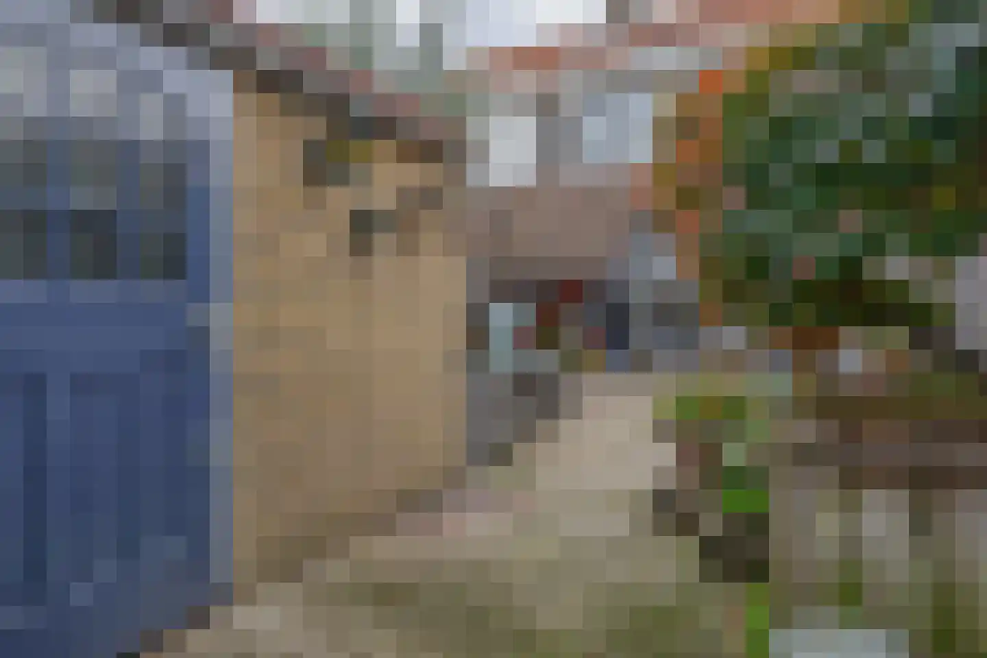 Nachtwaker 17 Rhoon thumbnail 24