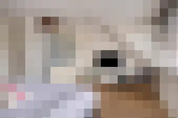 Nachtwaker 19 Rhoon thumbnail 13