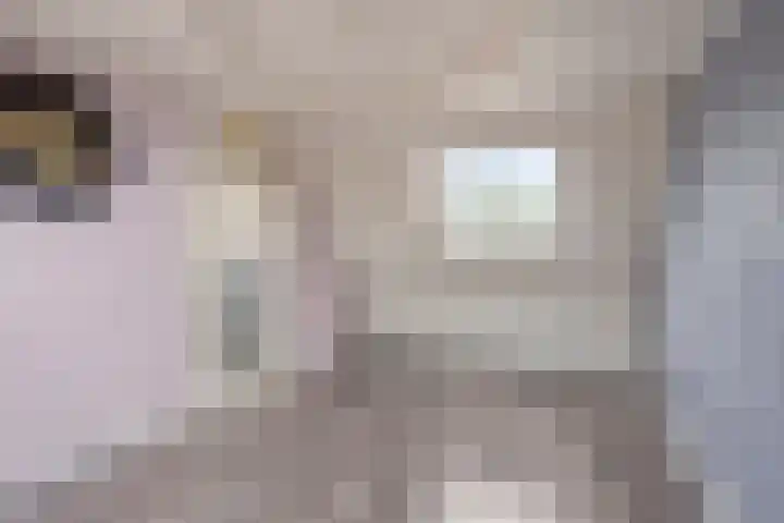 Nachtwaker 19 Rhoon thumbnail 22