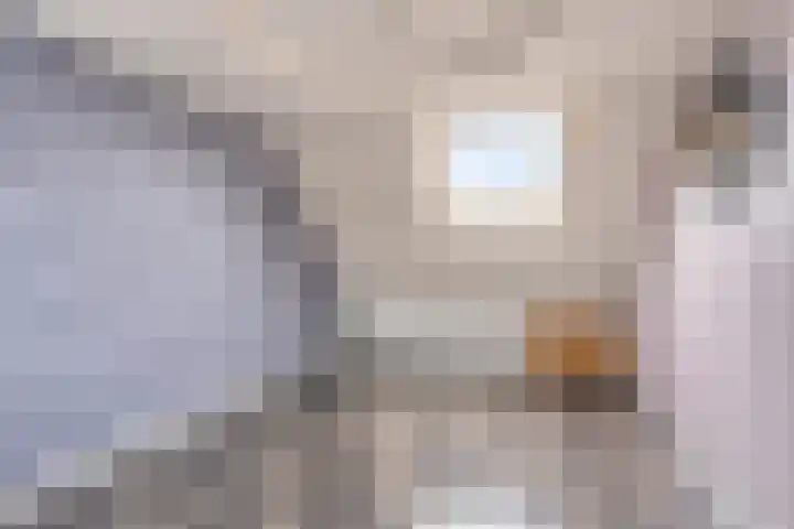 Nachtwaker 19 Rhoon thumbnail 23