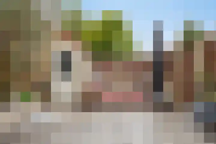 Nachtwaker 19 Rhoon thumbnail 25