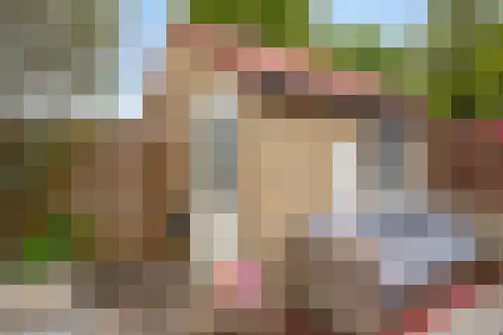 Nachtwaker 19 Rhoon thumbnail 26