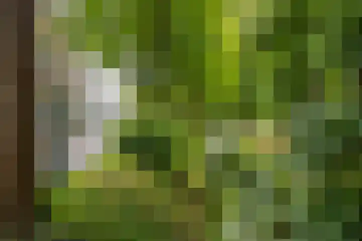 Nachtwaker 19 Rhoon thumbnail 33