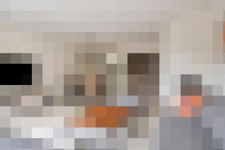 Nachtwaker 19 Rhoon thumbnail 6