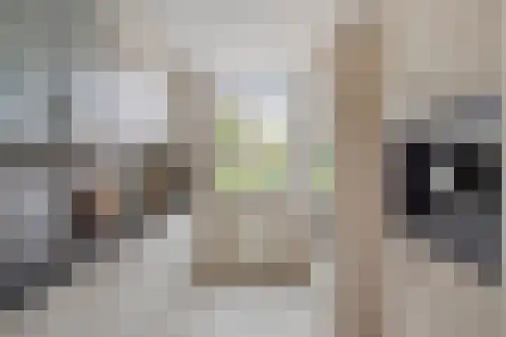 Nachtwaker 19 Rhoon thumbnail 8