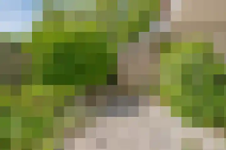 Nachtwaker 9 Rhoon thumbnail 10