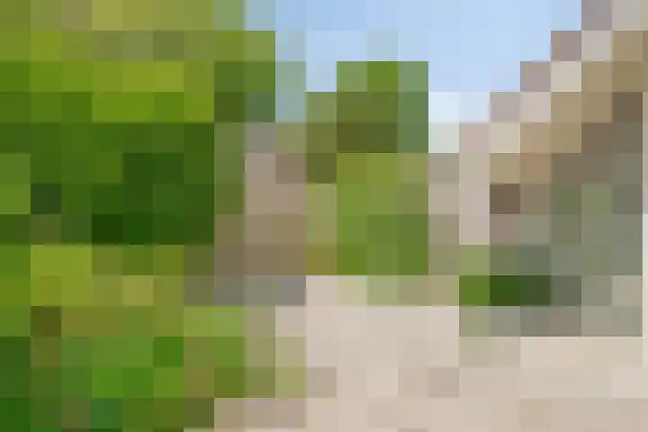 Nachtwaker 9 Rhoon thumbnail 11