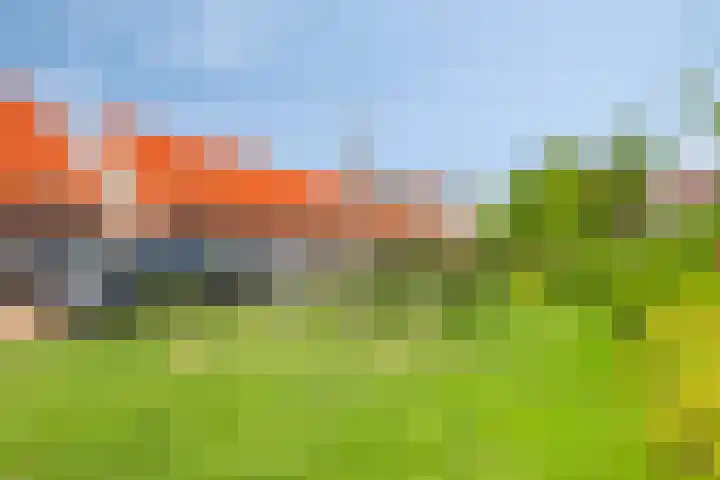Nachtwaker 9 Rhoon thumbnail 26