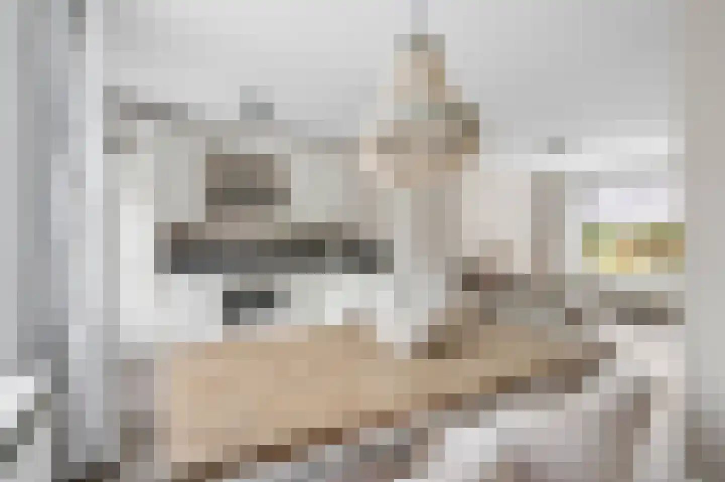 Nachtzwaluw 40 Veenendaal thumbnail 12