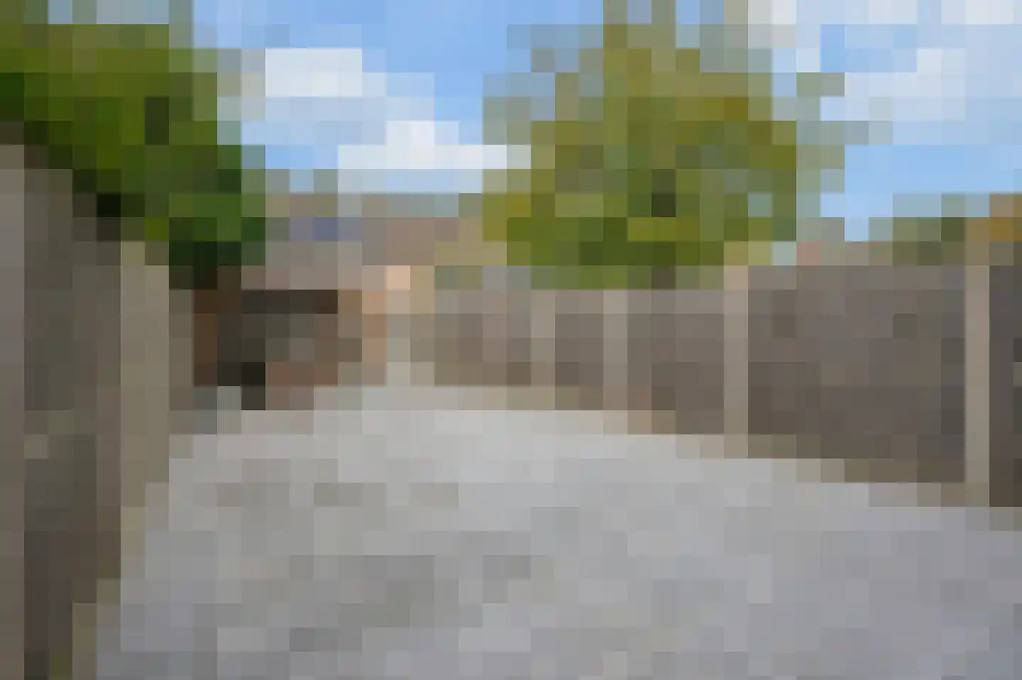 Nachtzwaluw 40 Veenendaal thumbnail 25