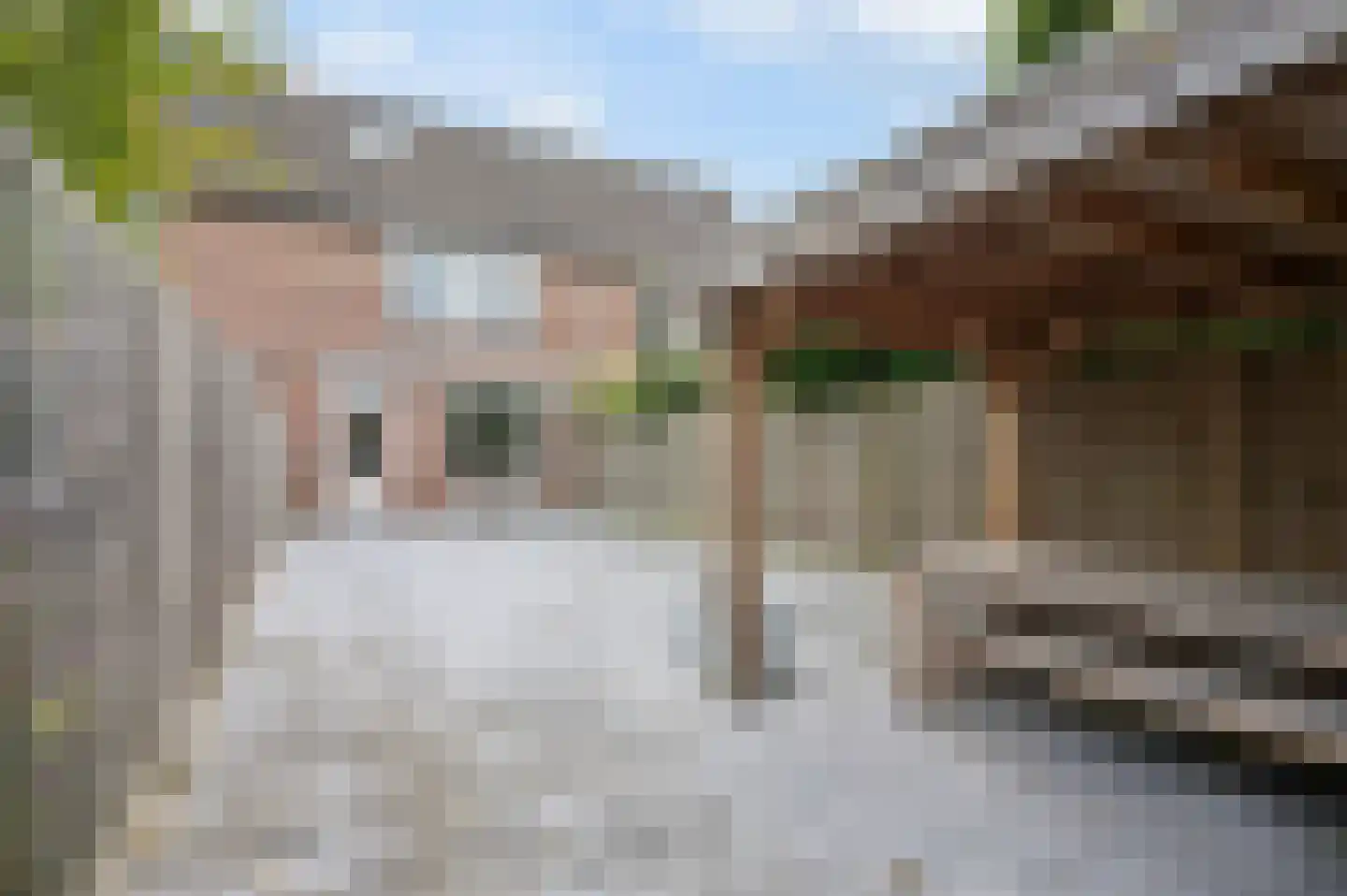 Nachtzwaluw 40 Veenendaal thumbnail 26