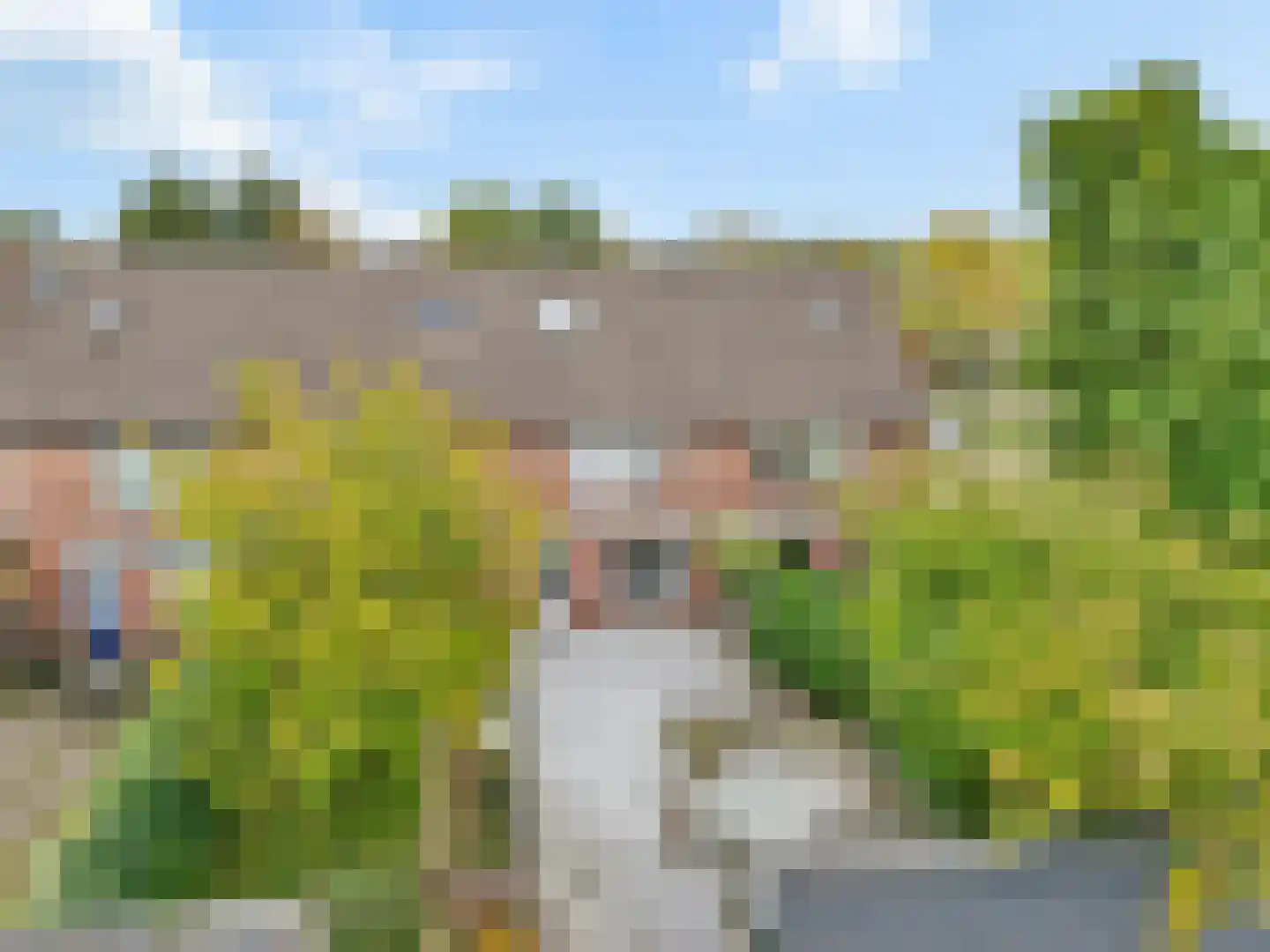 Nachtzwaluw 40 Veenendaal thumbnail 27