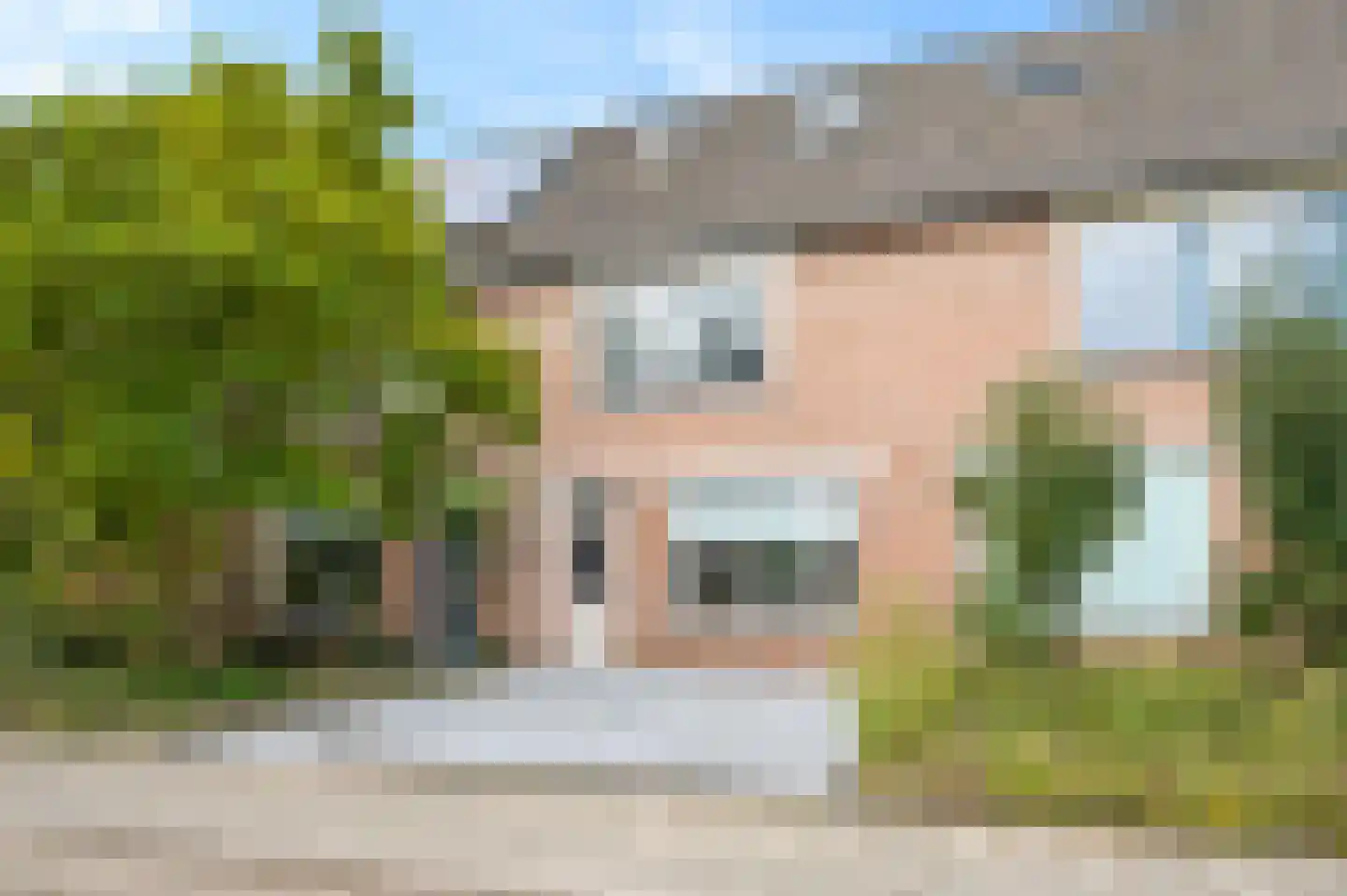 Nachtzwaluw 40 Veenendaal thumbnail 5
