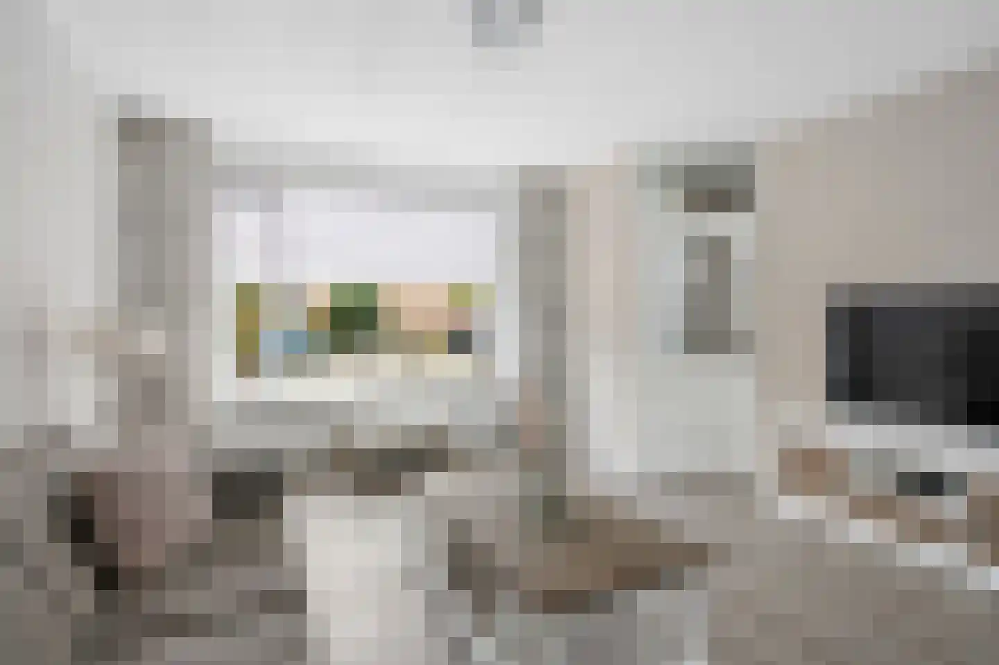 Nachtzwaluw 40 Veenendaal thumbnail 8