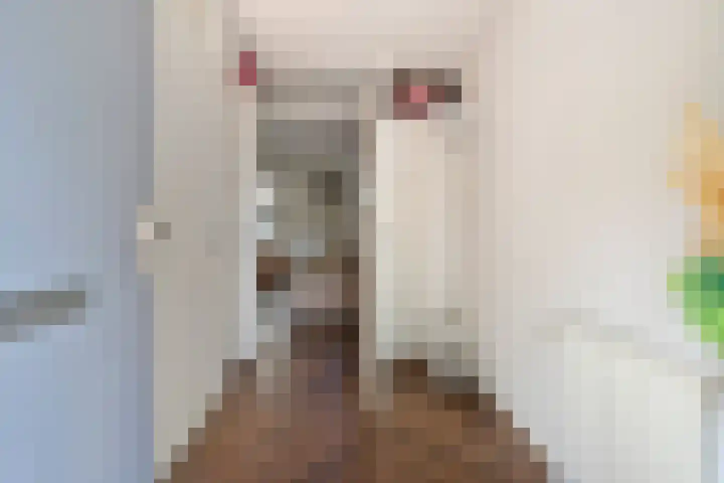 Nadezjda Mandelstamstraat 43 Amsterdam thumbnail 10