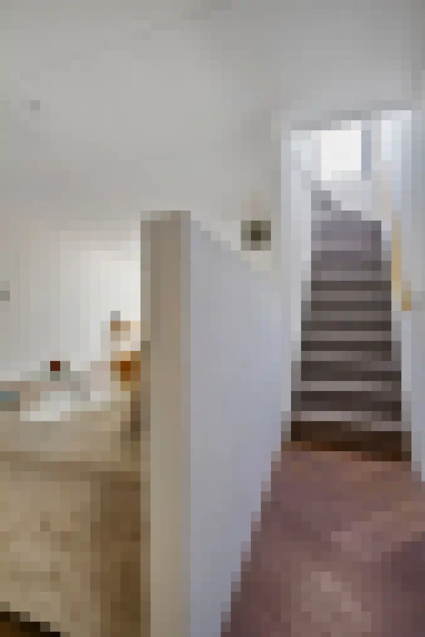 Nadezjda Mandelstamstraat 43 Amsterdam thumbnail 4