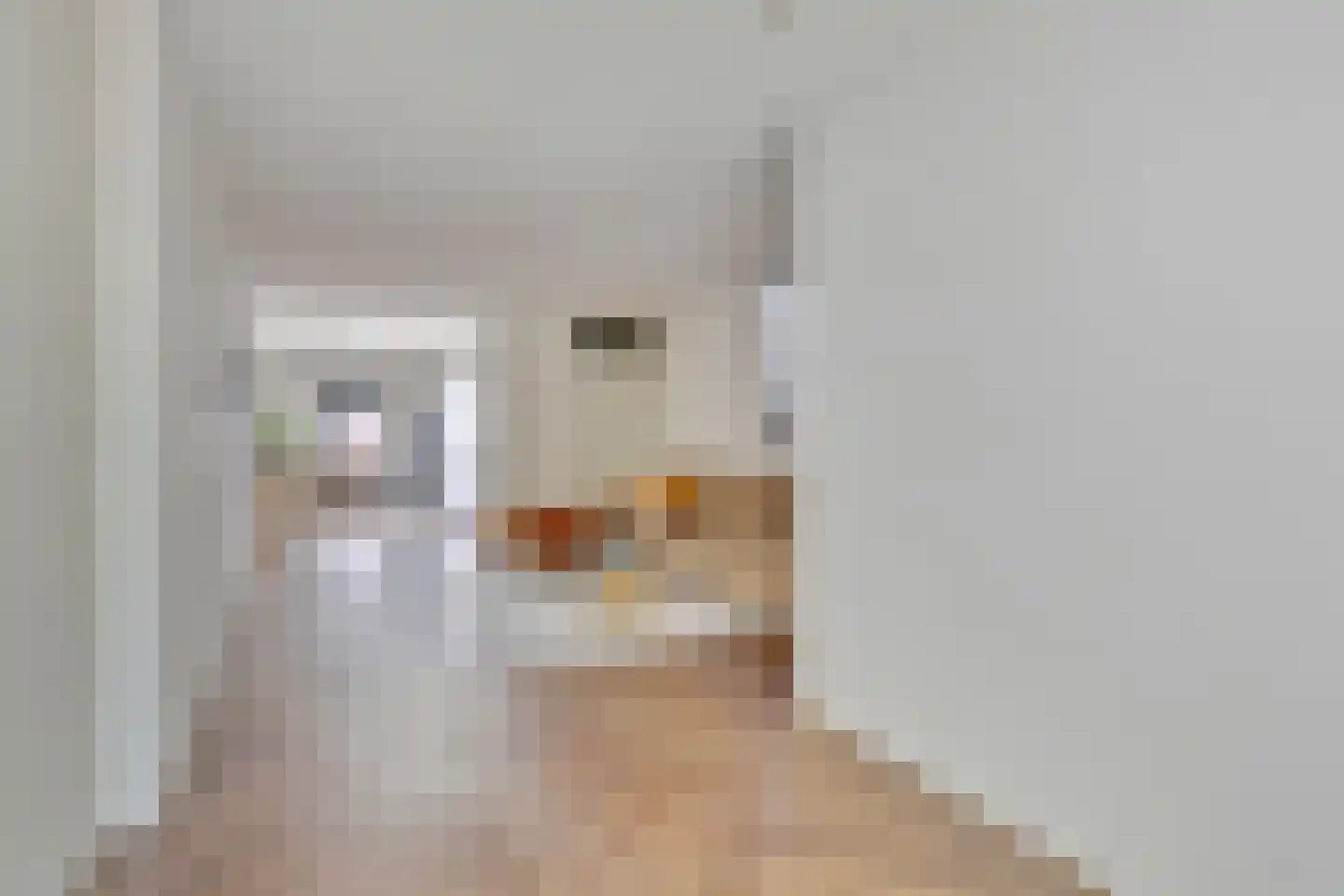 Nadezjda Mandelstamstraat 43 Amsterdam thumbnail 5