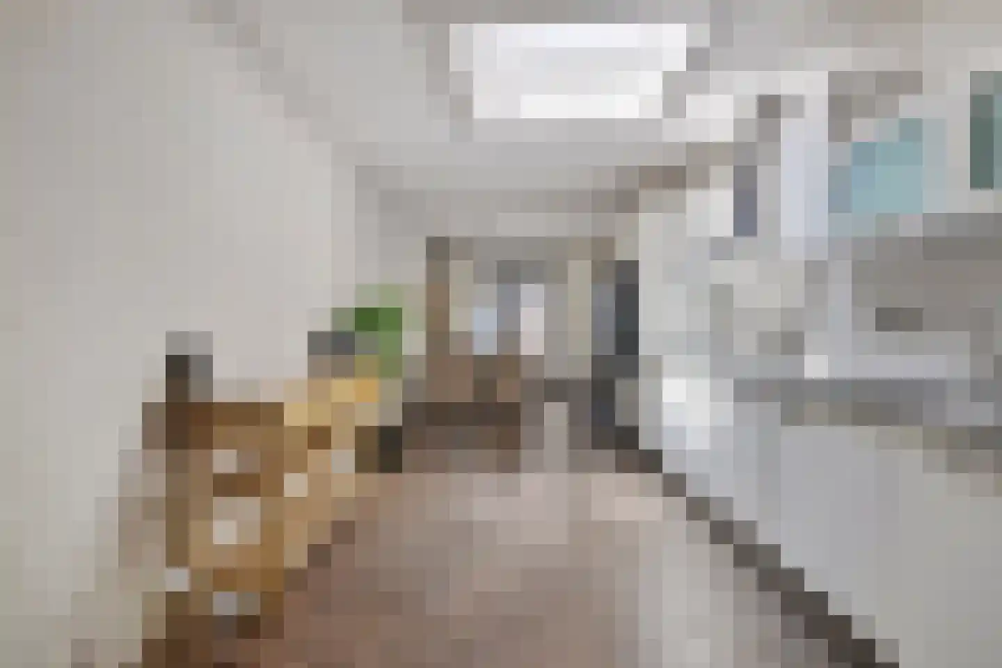 Nadezjda Mandelstamstraat 43 Amsterdam thumbnail 6
