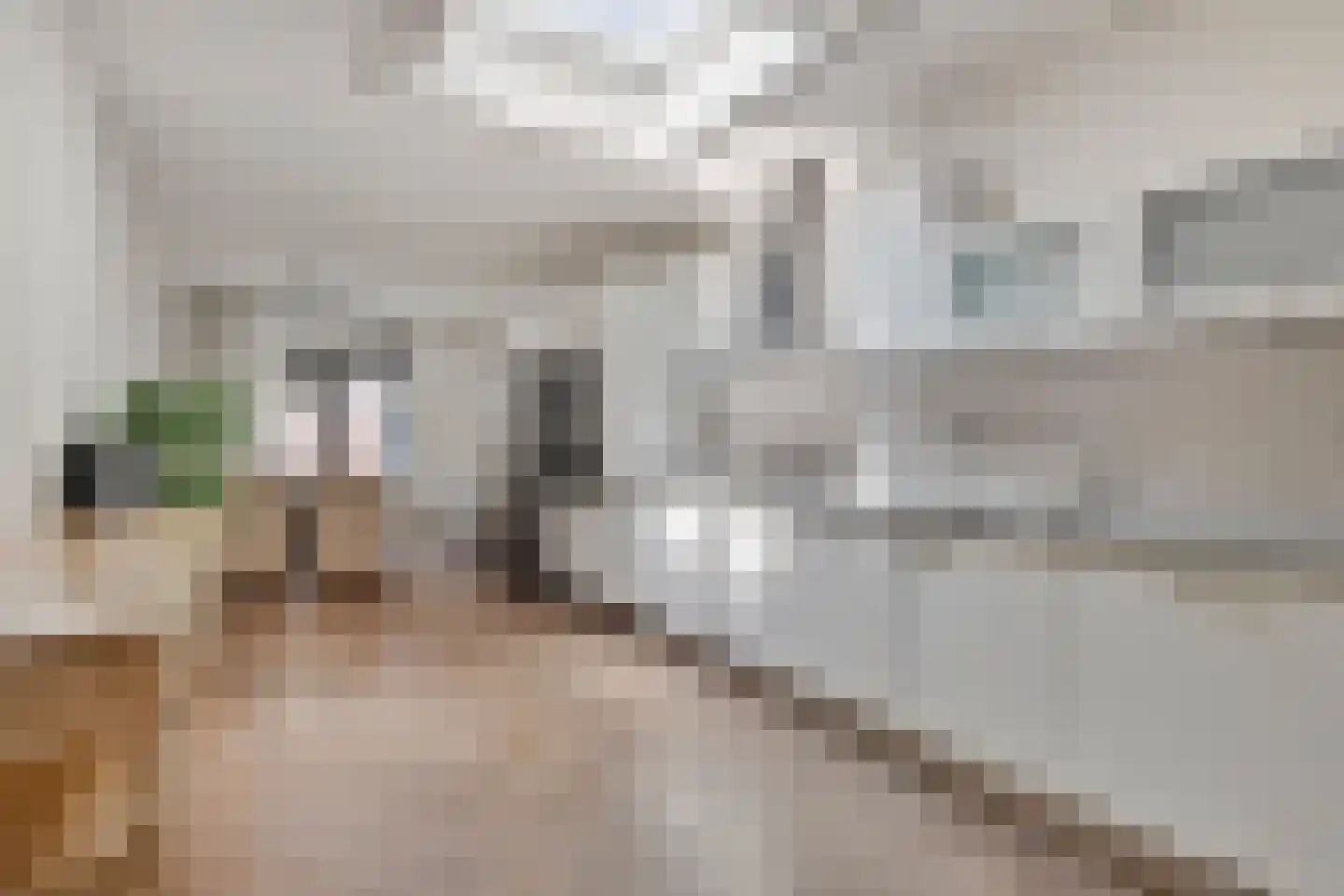 Nadezjda Mandelstamstraat 43 Amsterdam thumbnail 7