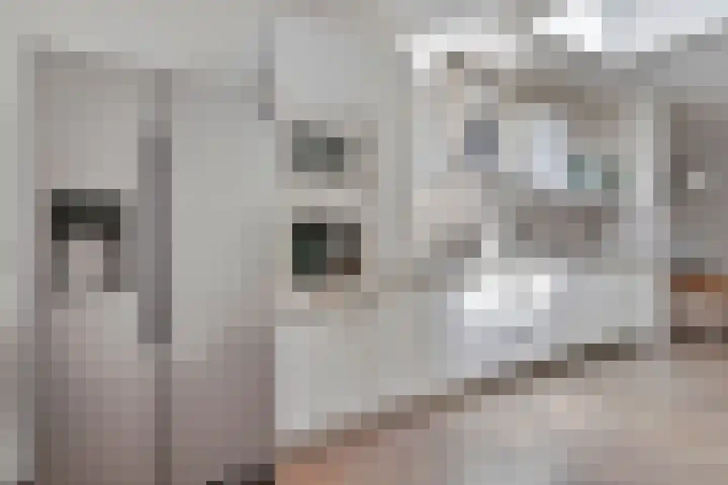 Nadezjda Mandelstamstraat 43 Amsterdam thumbnail 8