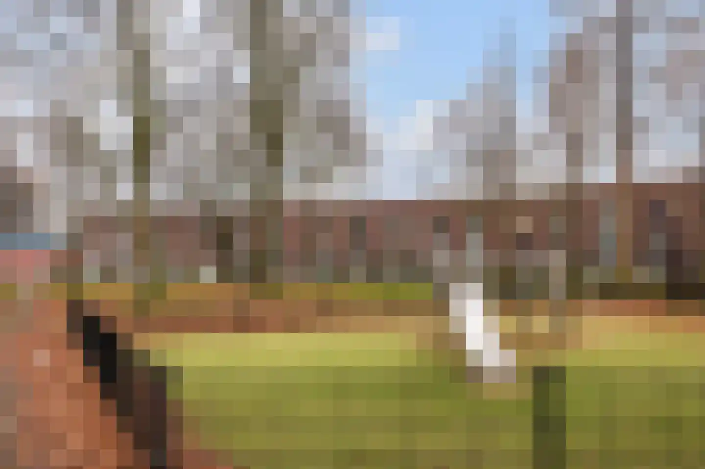 Nadezjda Mandelstamstraat 5 Amsterdam thumbnail 13