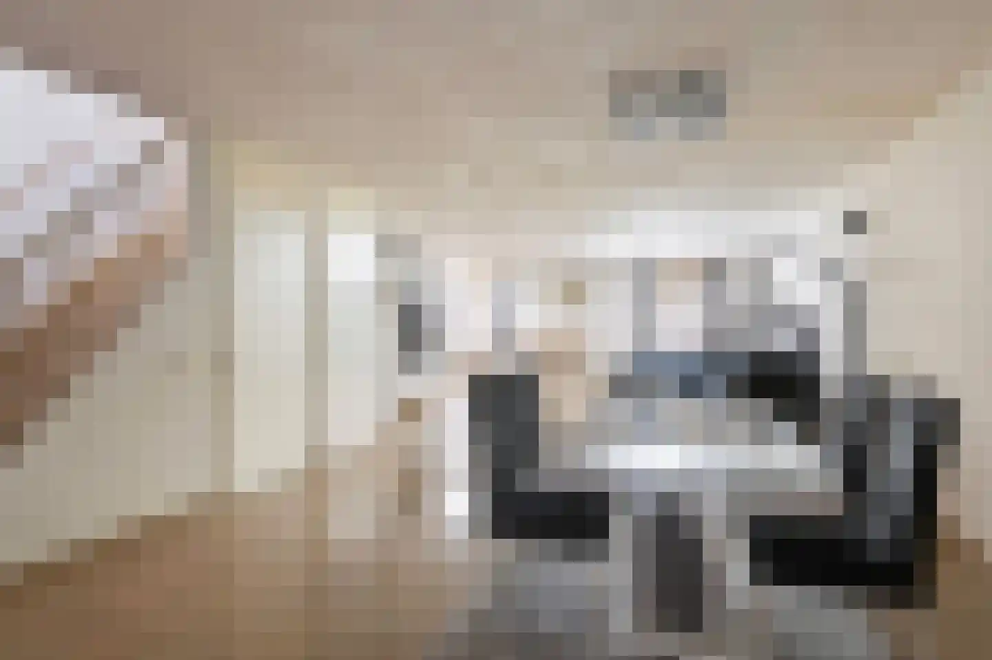 Nadezjda Mandelstamstraat 5 Amsterdam thumbnail 7