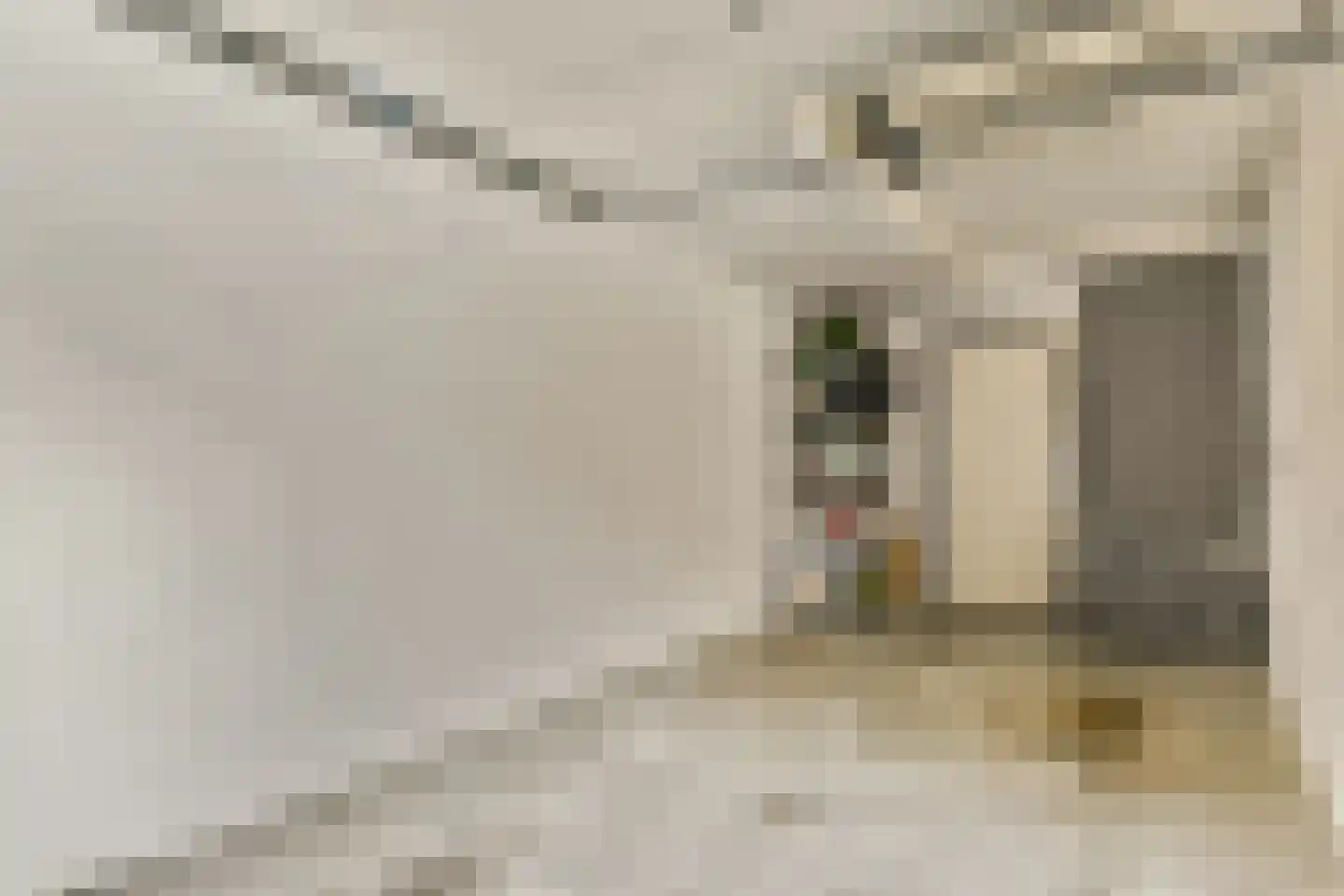 Nadezjda Mandelstamstraat 9 Amsterdam thumbnail 28
