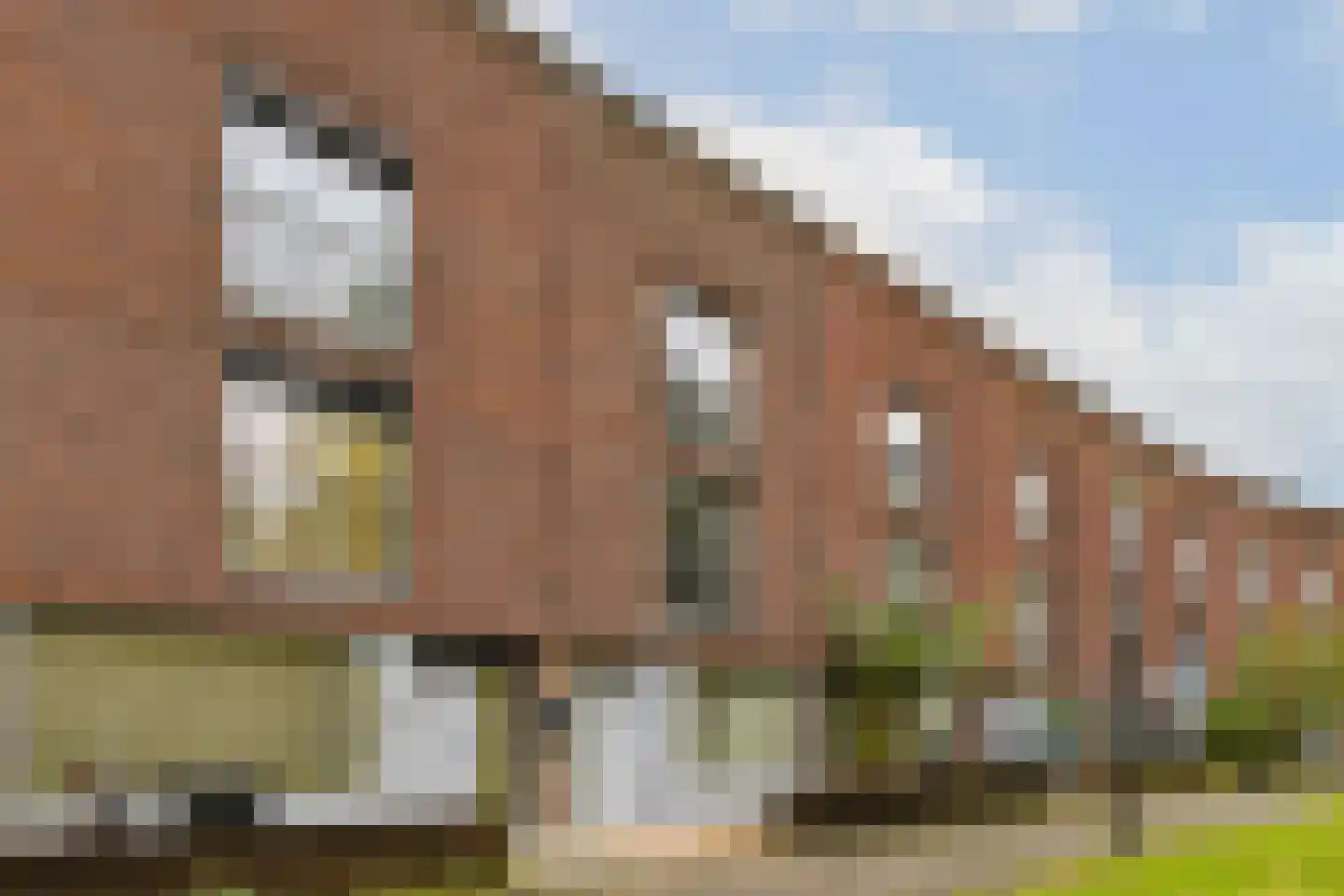 Nadezjda Mandelstamstraat 9 Amsterdam thumbnail 32