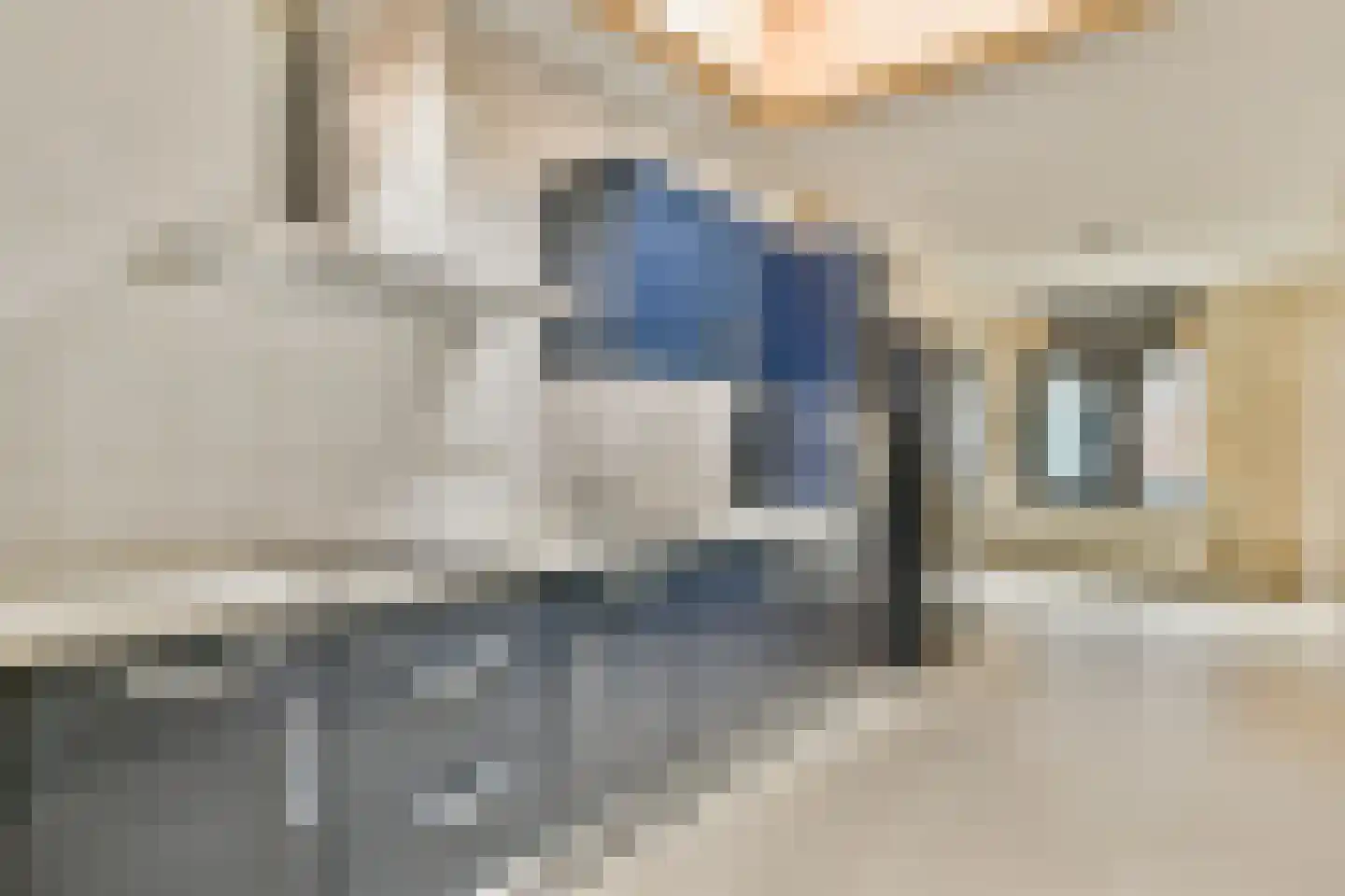 Nadezjda Mandelstamstraat 9 Amsterdam thumbnail 6