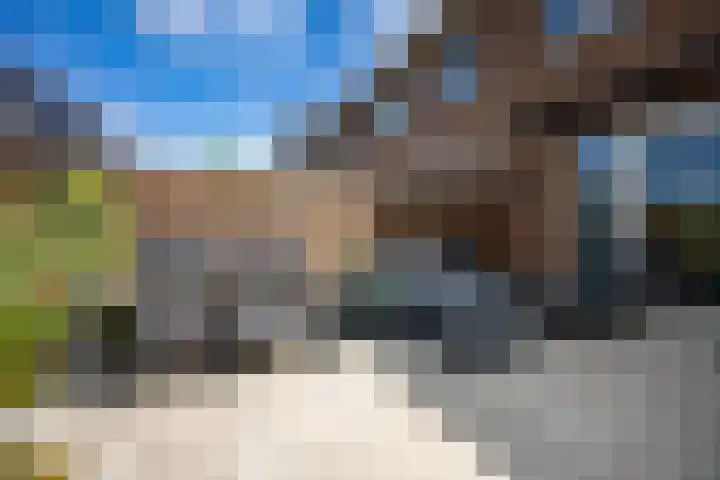 Nadine Gordimerlaan 11 Den Haag thumbnail 18