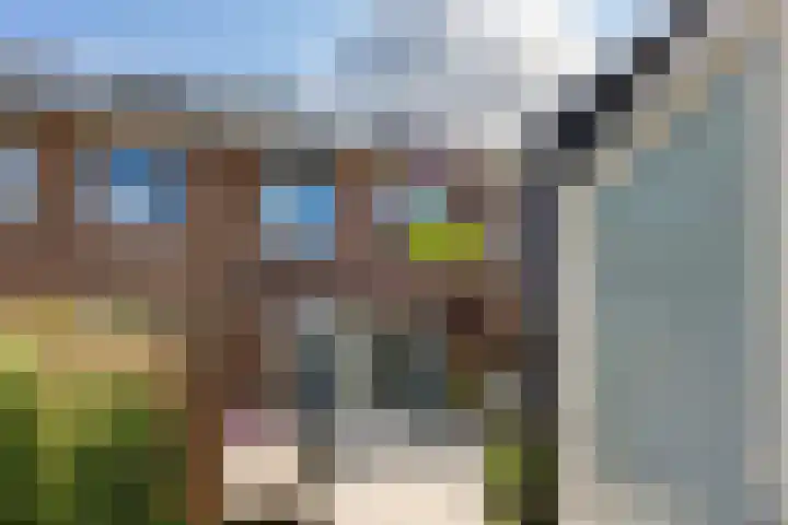 Nadine Gordimerlaan 11 Den Haag thumbnail 21
