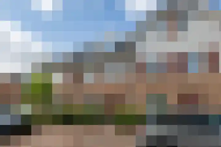 Nadine Gordimerlaan 11 Den Haag thumbnail 5