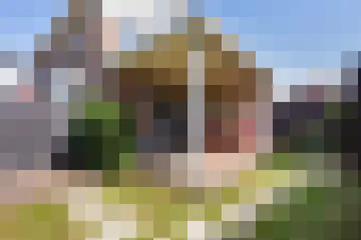 Nadine Gordimerlaan 3 Den Haag thumbnail 23