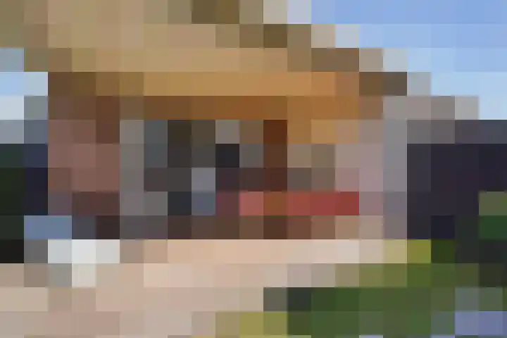 Nadine Gordimerlaan 3 Den Haag thumbnail 24
