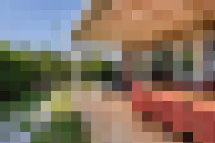 Nadine Gordimerlaan 3 Den Haag thumbnail 4