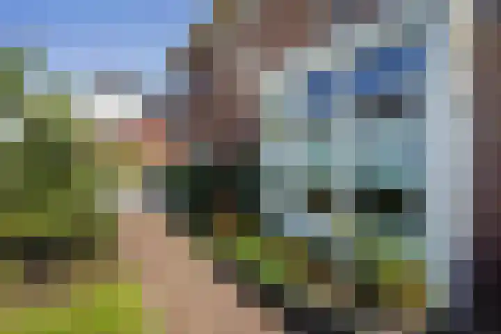 Nadine Gordimerlaan 3 Den Haag thumbnail 47