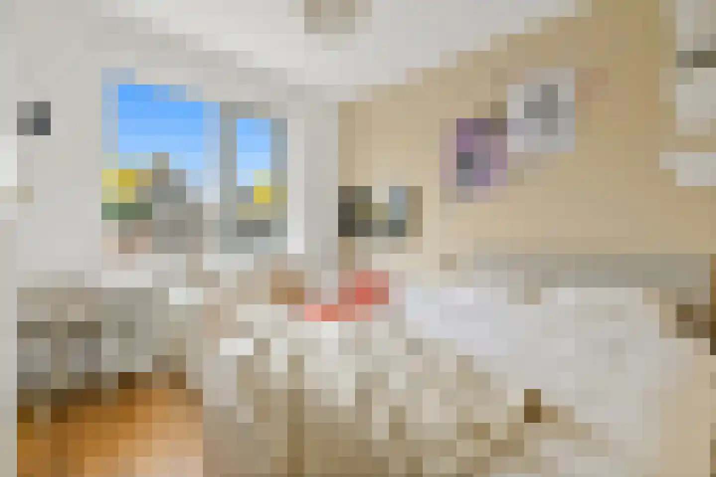 Nadine Gordimerlaan 8 Den Haag thumbnail 32