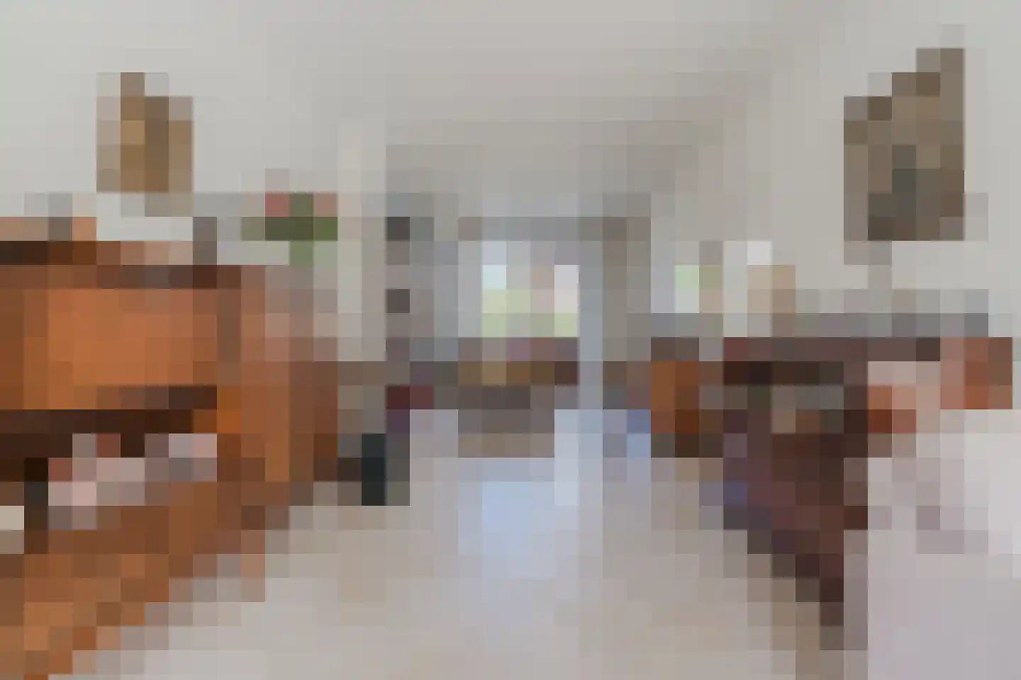 Nadirlaan 19 Hoogeveen thumbnail 12
