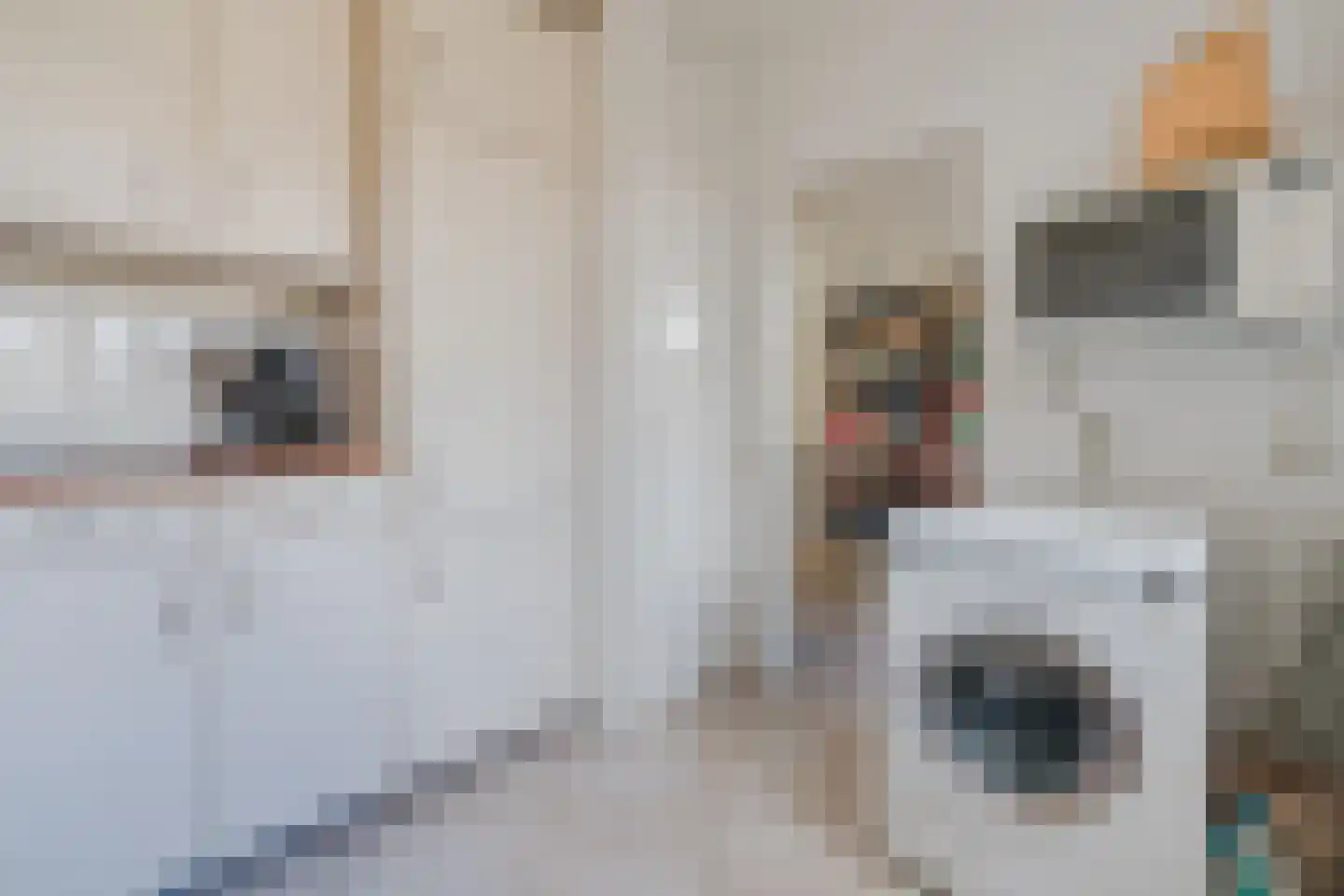 Nadirlaan 19 Hoogeveen thumbnail 15