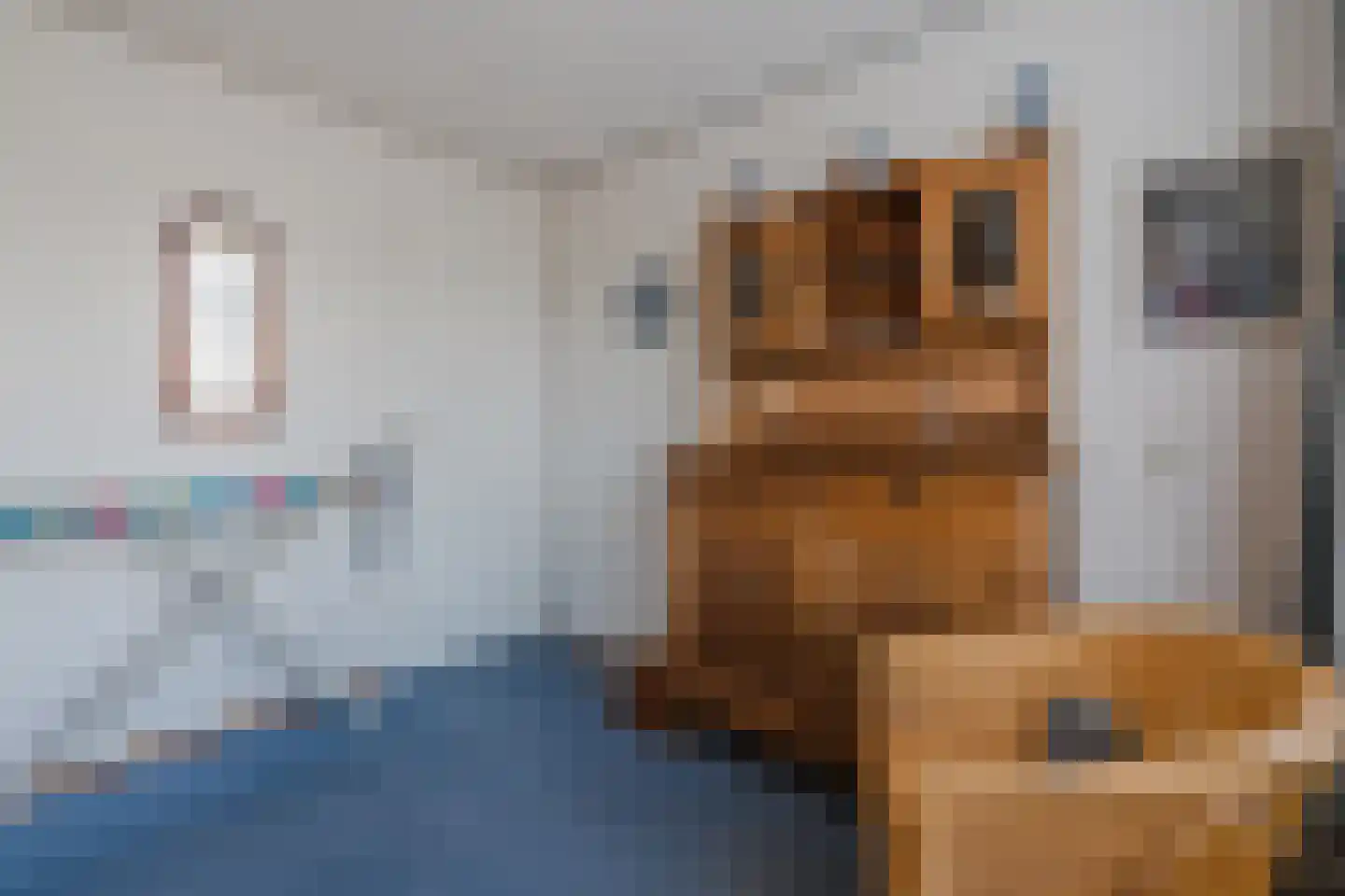 Nadirlaan 19 Hoogeveen thumbnail 23