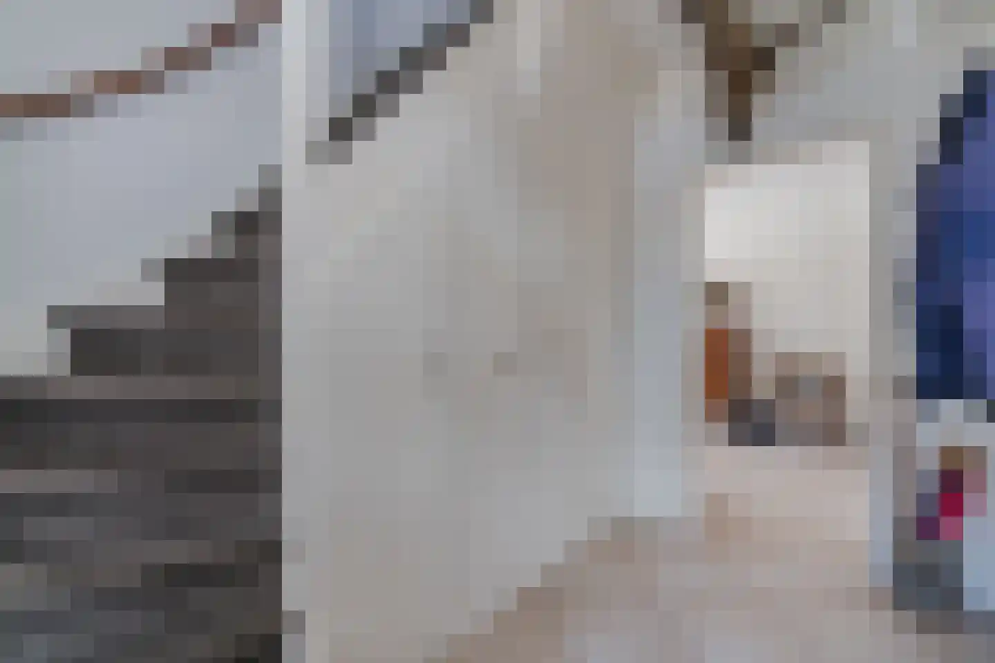 Nadirlaan 19 Hoogeveen thumbnail 8