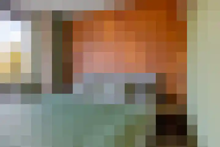 Nadirlaan 3 Hoogeveen thumbnail 18