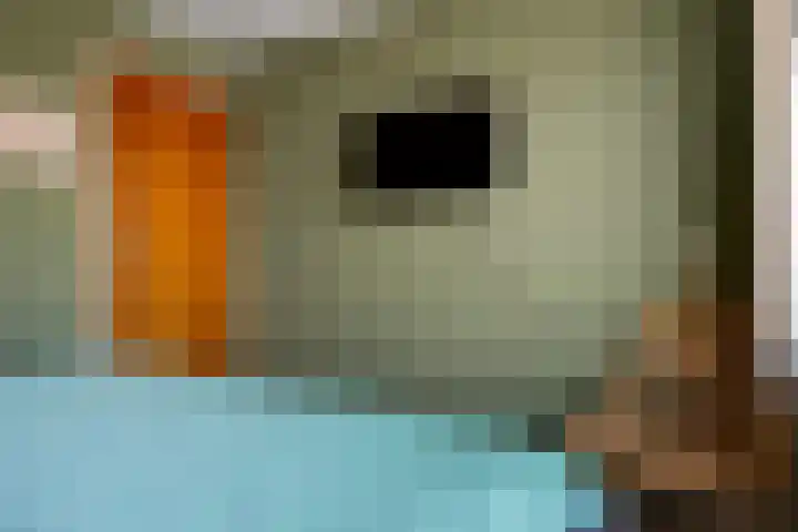 Nadirlaan 3 Hoogeveen thumbnail 19