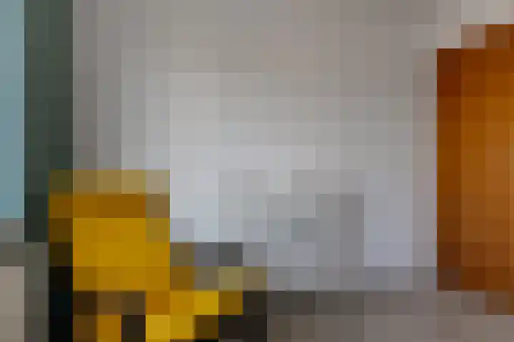 Nadirlaan 3 Hoogeveen thumbnail 29