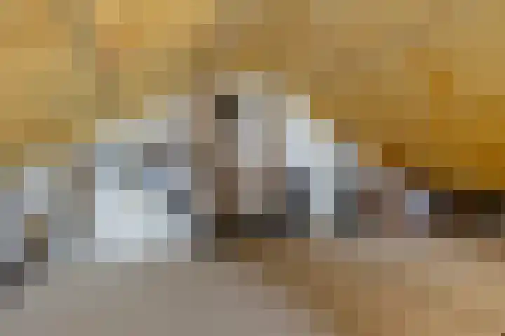 Nadirlaan 3 Hoogeveen thumbnail 36