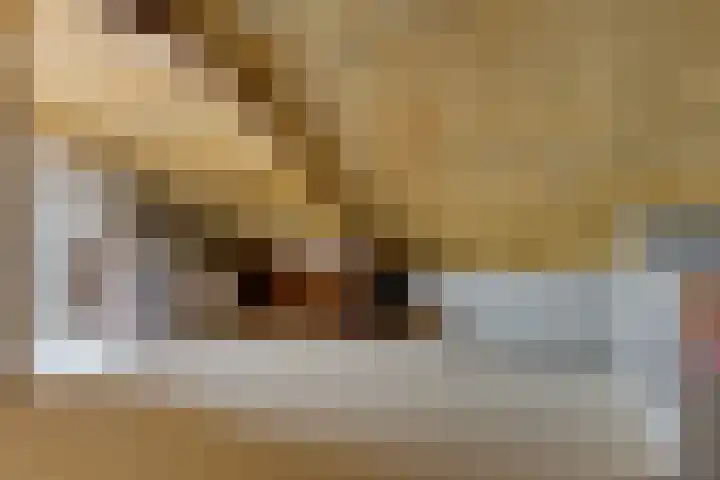Nadirlaan 3 Hoogeveen thumbnail 37