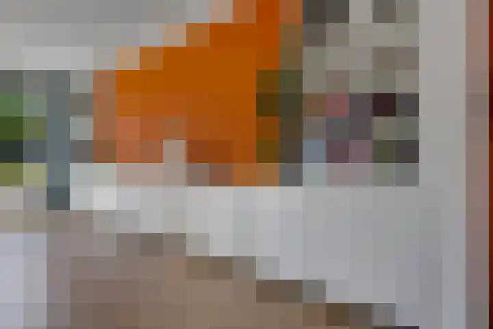 Nadirlaan 3 Hoogeveen thumbnail 8