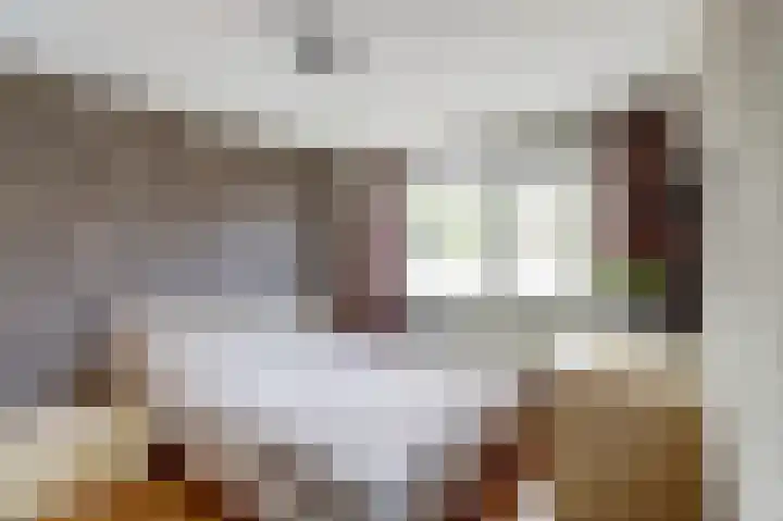 Nadirlaan 50 Hoogeveen thumbnail 17