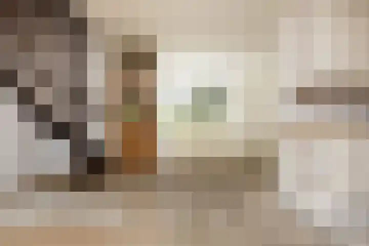 Nadirlaan 77 Hoogeveen thumbnail 4