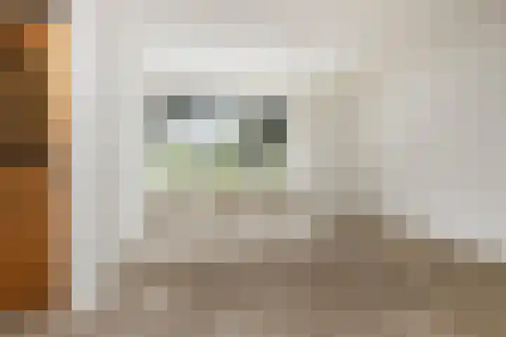 Nadirlaan 77 Hoogeveen thumbnail 5